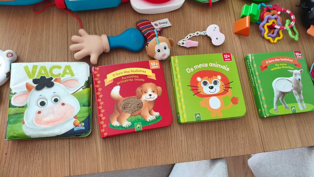 Lote de brinquedos e livros de bebé — Fisher-Price, Chicco e outros