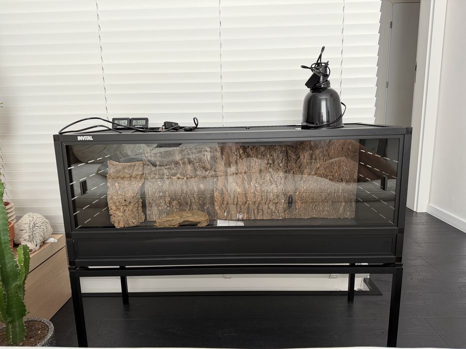 Kompletne terrarium 100x40x40