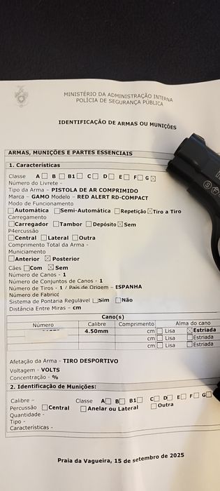 Pistola Gamo co2 Red Alert