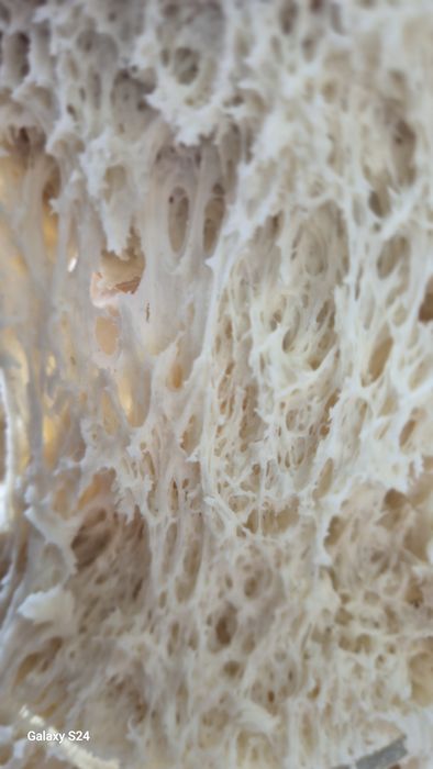 Zakwas pszenny Lievito Madre