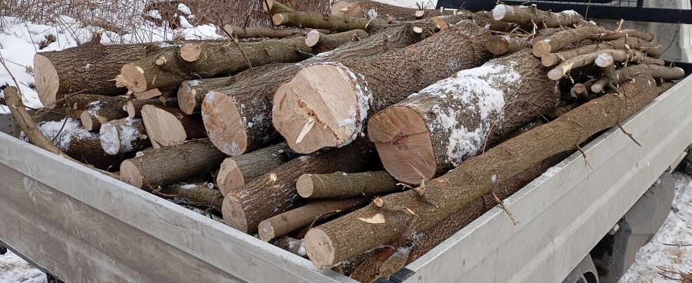 Drewno drzewo opałowe z transportem