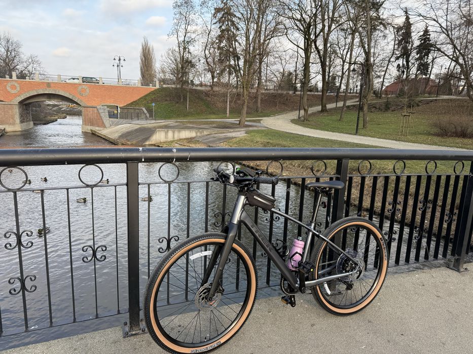 Trek Dual Sport 3 gen 5 rozmiar M