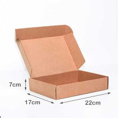 Caixas para Envio Postal 22x17x7cm Kraft (Pack 10un)