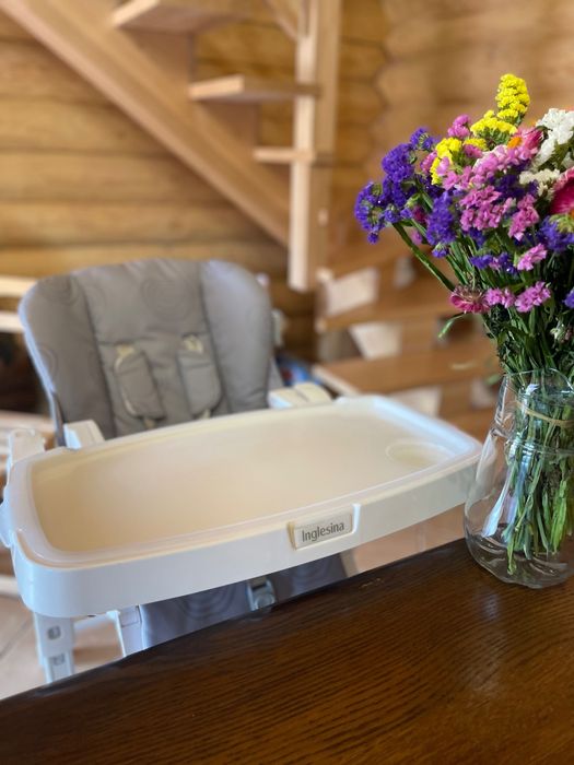 Стул для кормления Inglesina