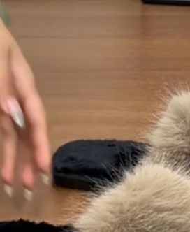 Klapki z puszkiem  r. 37