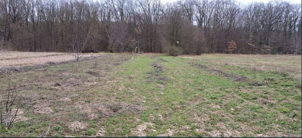 Продається будинок в с. Іванівці Барського р-н.