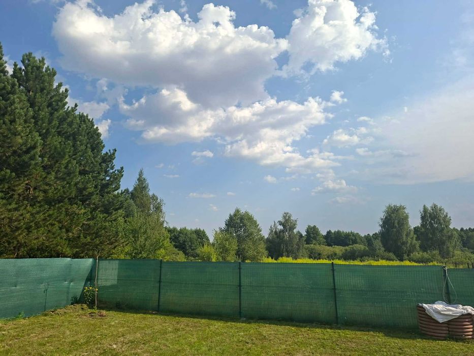 Zdjęcie 6