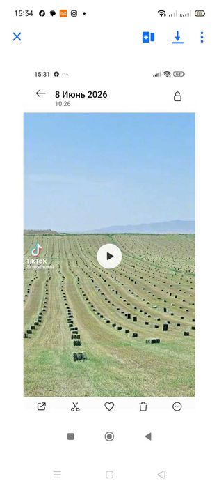Продам тюки сена люцерка цогорична