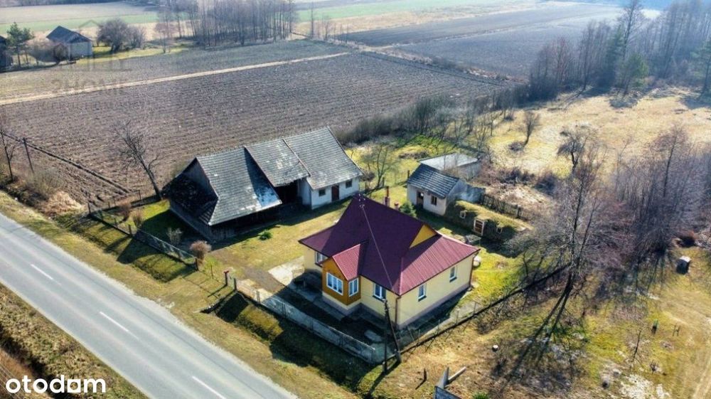 Siedlisko W Wójcinie - 1,53 Ha
