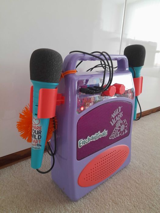 Coluna bluetooth karaoke