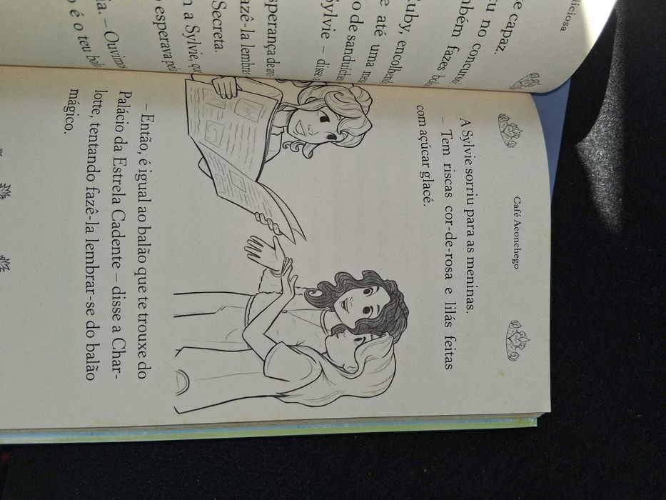 livros As princesas Secretas