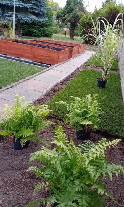 Zakładanie i pielęgnacja ogrodów