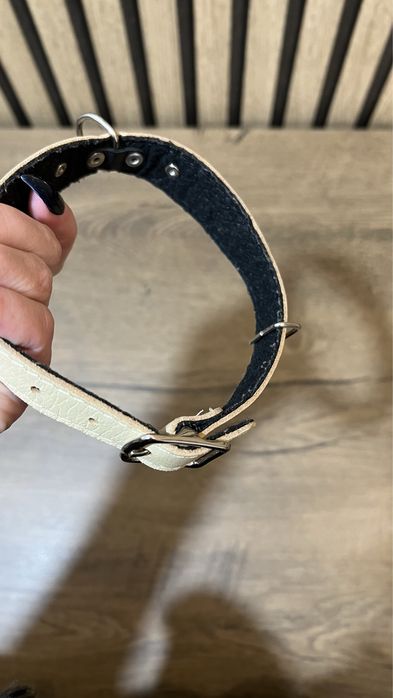 Ошийник світлий мʼякий всередині