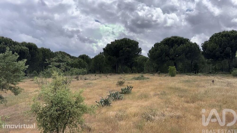 Terreno Agrícola em Pegões