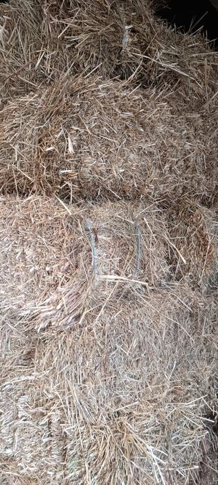 Fardos de palha para venda