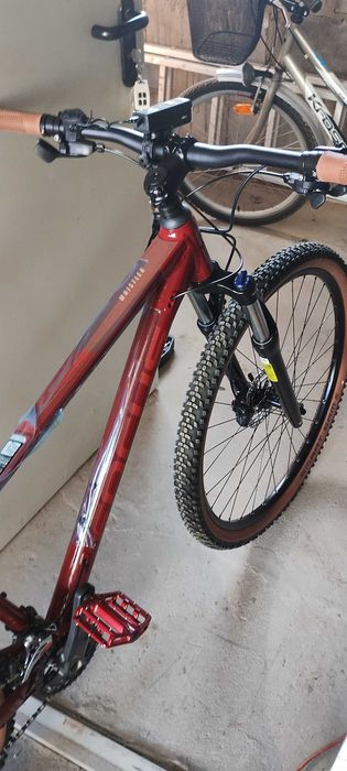 Focus Whistler 3,7