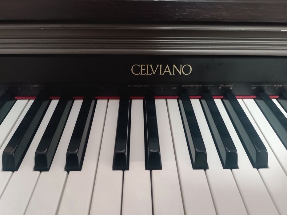 Цифрове піаніно Casio Celviano AP-200