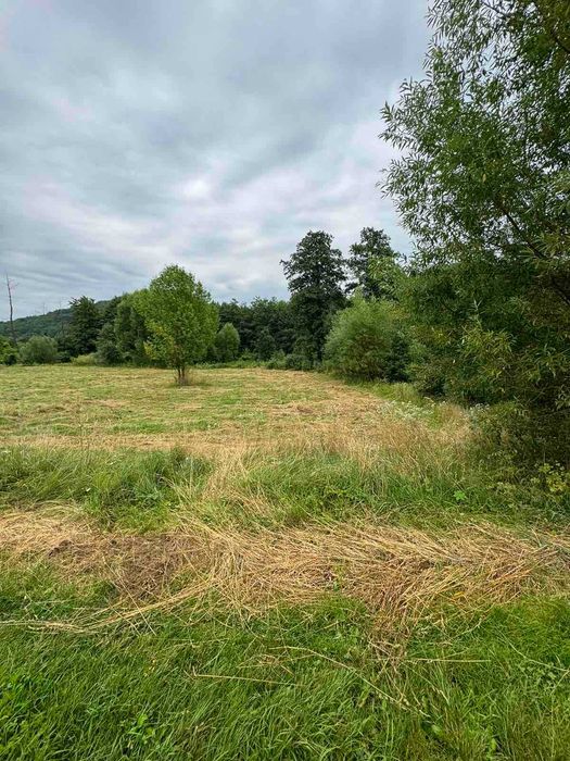 Земельна ділянка, с. Крехів