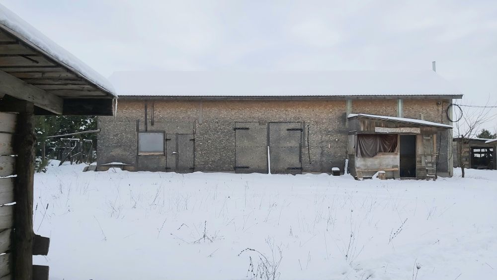Продам  свиноферму у ліса +10 Га землі,  20 км від Чернігова.