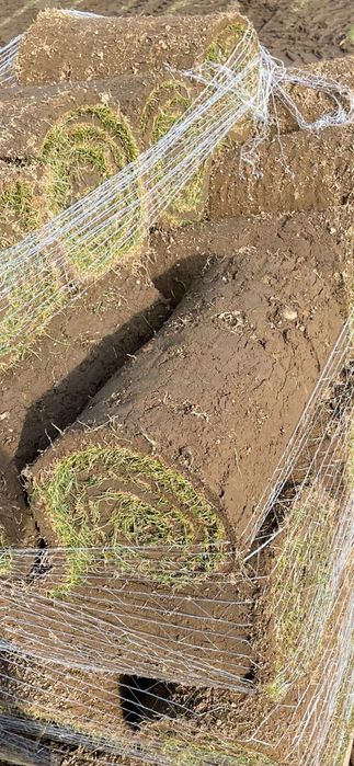 Trawa trawnik z Rolki sprzedaż transport montaż wysyłki kurier