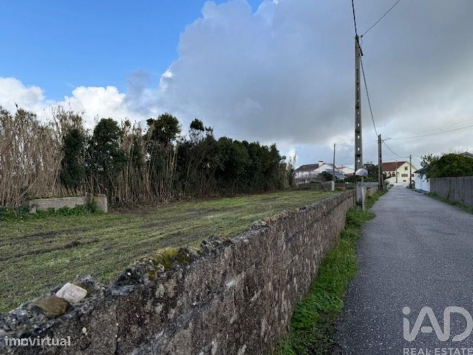 Terreno em Monte Real e Carvide