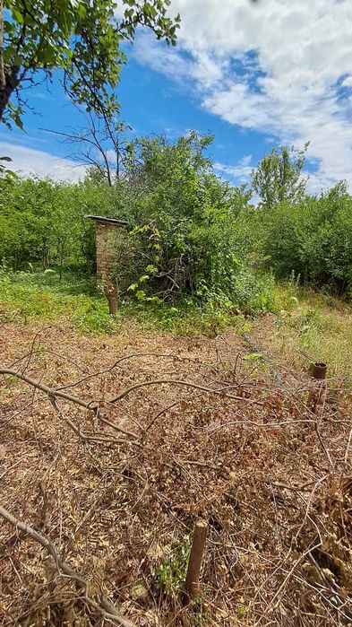 Продам дачу/дачну ділянку - Вид 2