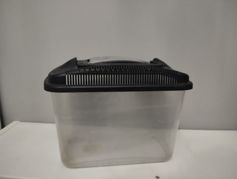 Aquário para peixe