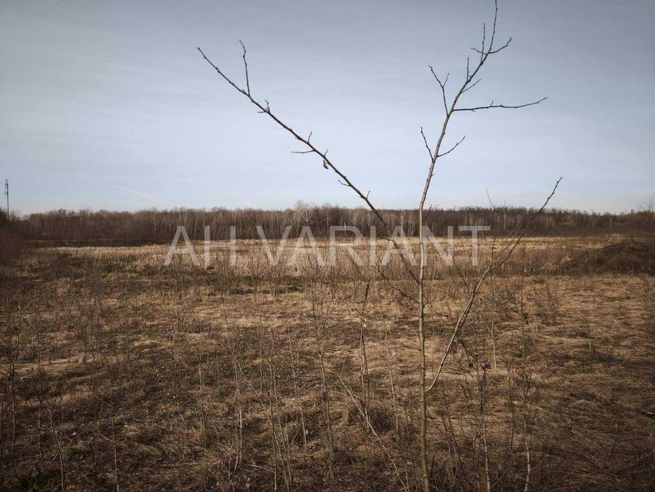 Продається земельна ділянка з озером, с. Середнє Код: 43424