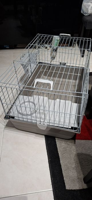 Gaiolas para porquinhos da Índia465527007745812482