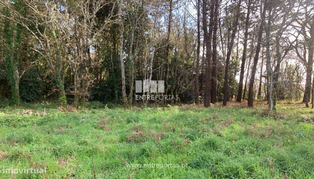 Venda de Terreno de construção, Afife, Viana do Castelo.