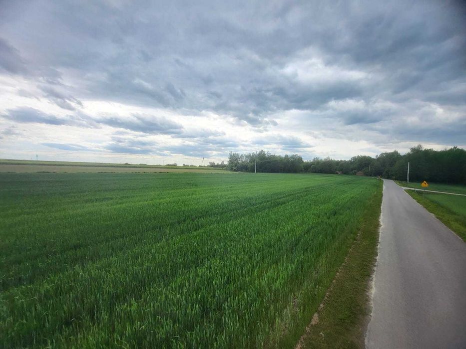 Maszki gmina Wojciechów nr ewid. 801/1 - spokojna, zielona okolica z widokiem na rozległe pola uprawne, las, blisko rzeki Bystra, 15 km od Lublina - Widok 5