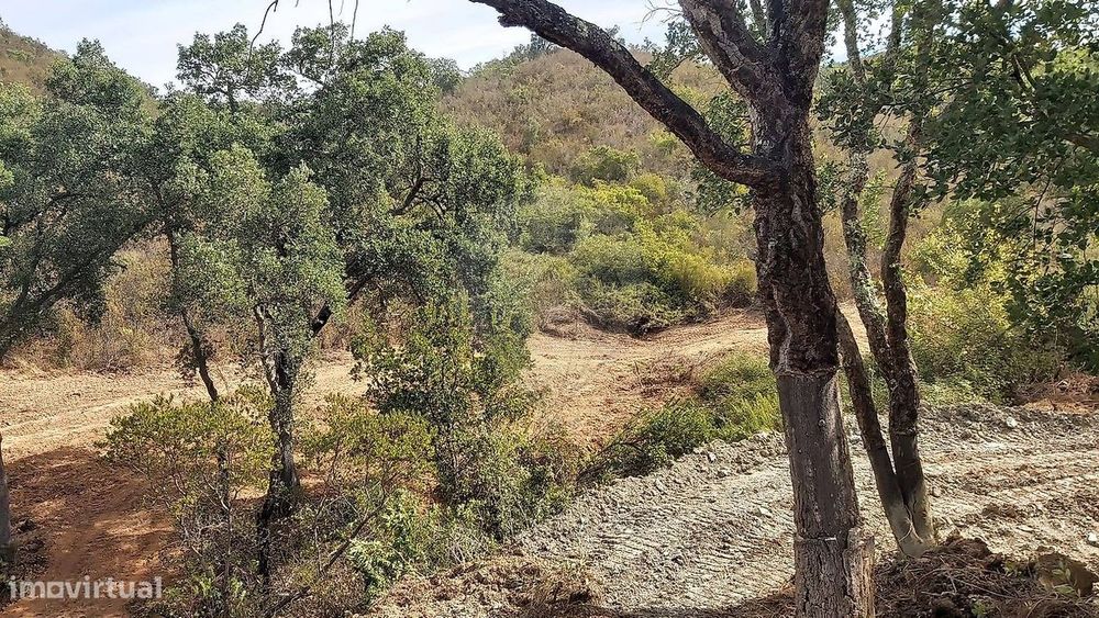 Terreno  para venda