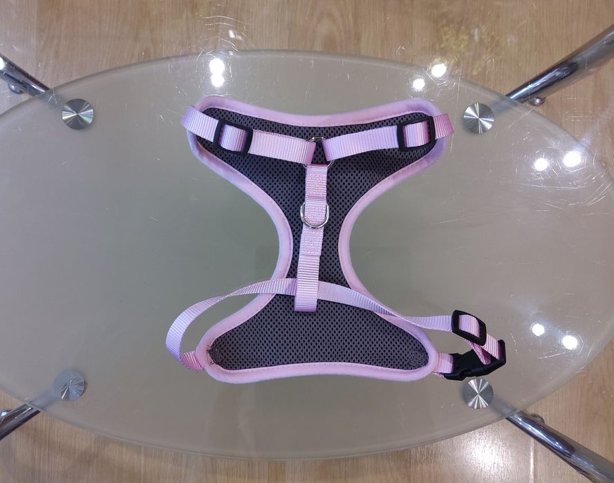 Шлея, шлейка для таксы