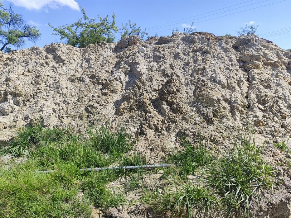 Oddam ziemię za darmo