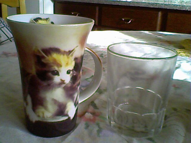 Caneca 'Gatinhos' (NOVA)