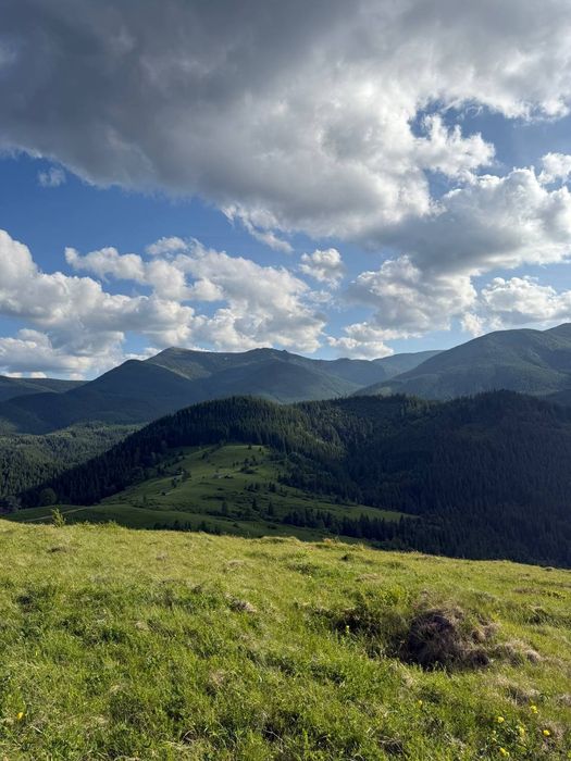 Рівна ділянка, під будову. Межує з лісом. 40 соток в Дземброні