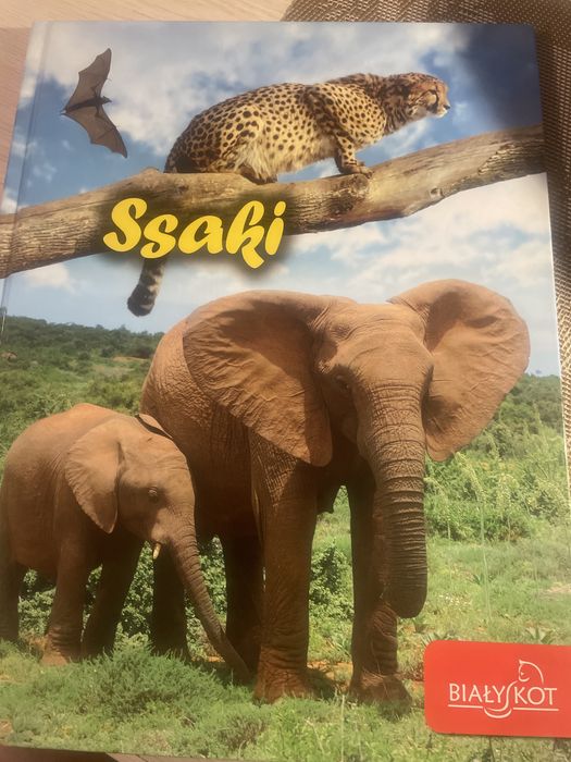Ssaki - książka edukacyjna