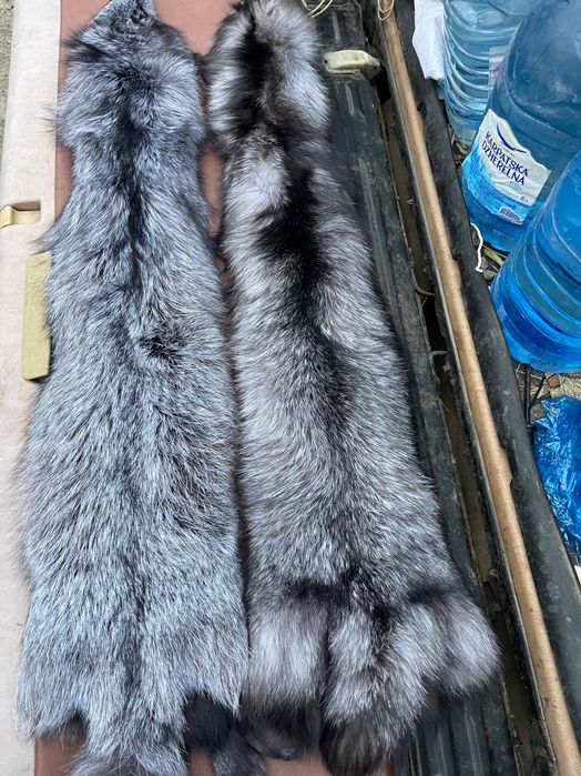 Хутро чорно-бурої лисиці