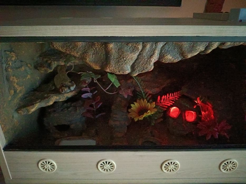 Terrarium z płyty meblowej