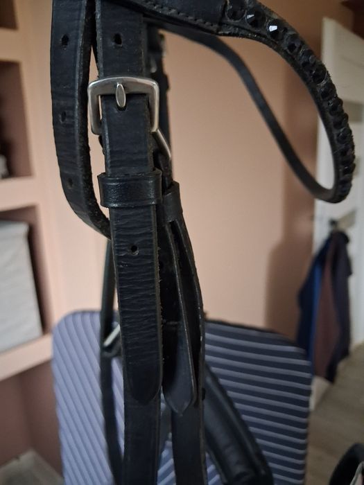 Skórzane ogłowie r. Cob