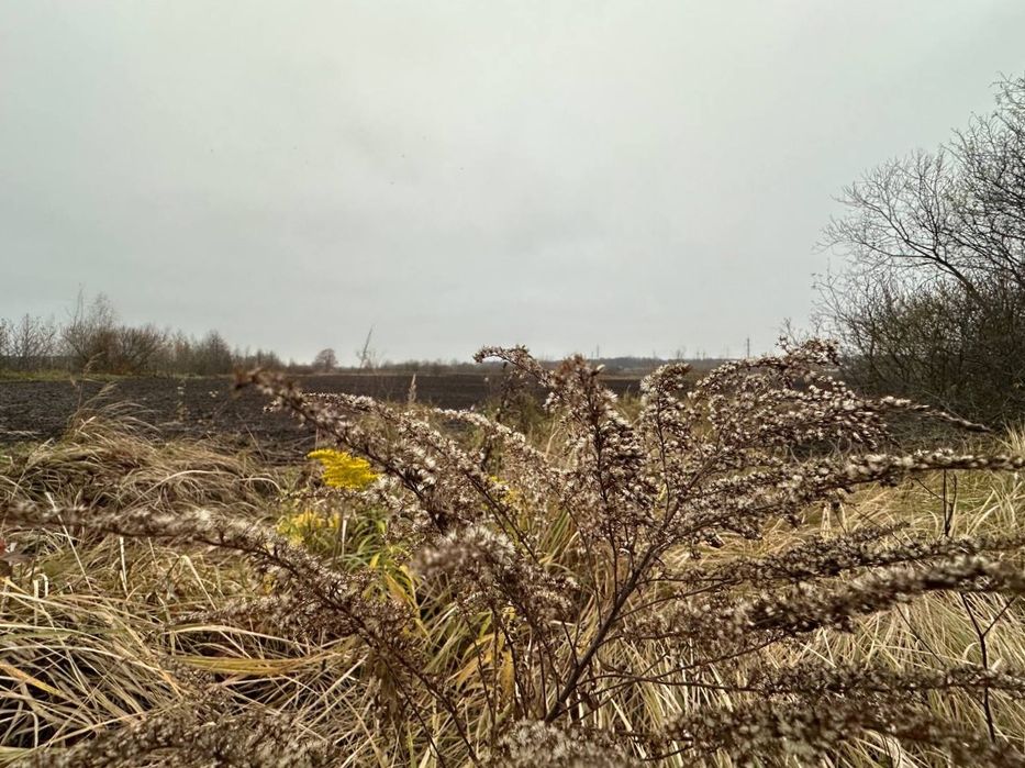 Продаж ділянки 10 сот Оліївка/2 км від Житомира