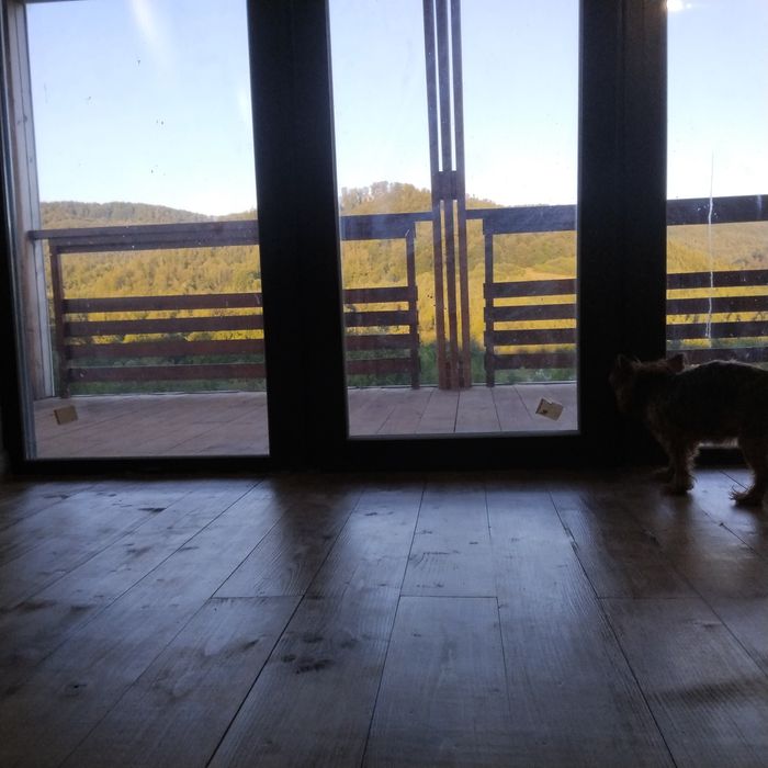 Будинок у карпатах