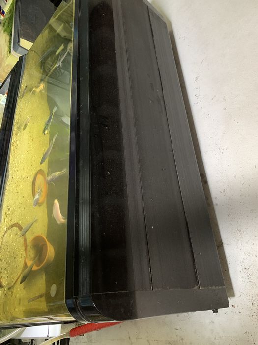 Aquario grande com luz e tampa