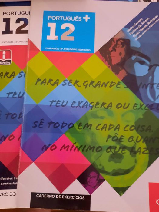 Manuais e dossiês do professor - português (5º ao 12º - com portes)