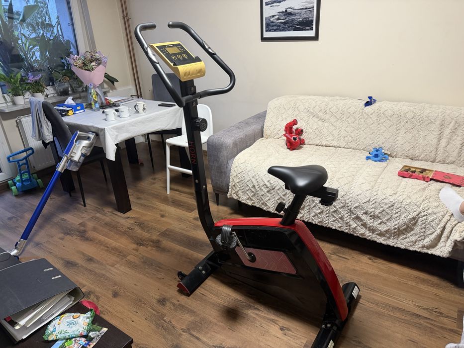 Rower treningowy Magnetyczny