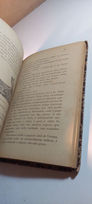 Cunicultura Pratica - João Salema (1907]