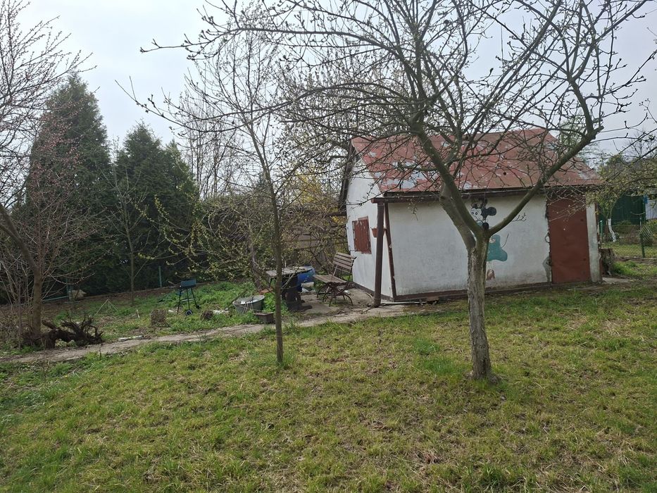Działka rekreacyjna ROD 40lecie Legnica