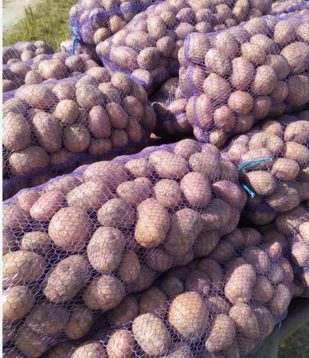 Продам картоплю !!!