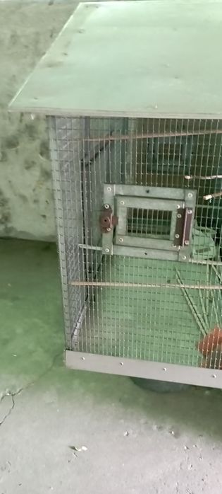 Venda de gaiola em alumínio