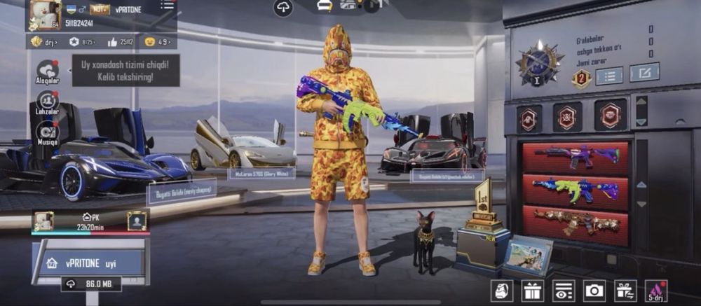 Жир аккаунт в пабг.